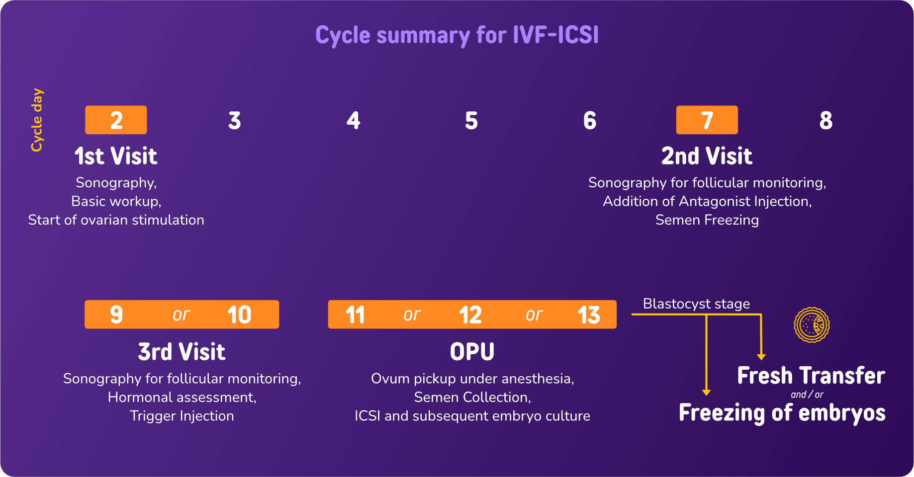 self-ivf-icsi-treatment-by-banker-ivf-centre