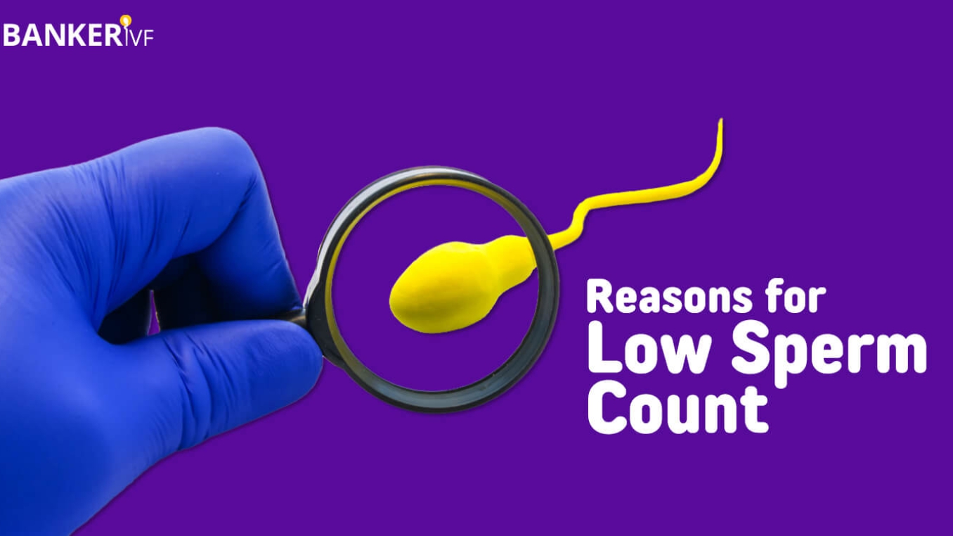 Low Sperm Count Reasons for Low Sperm Count Dr Banker