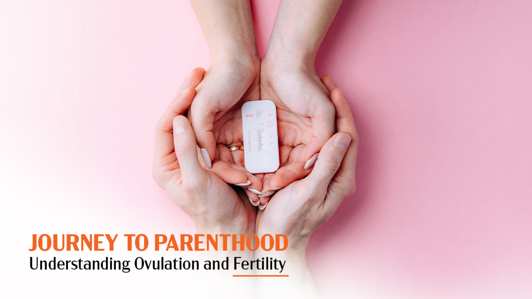 Understanding ovulation