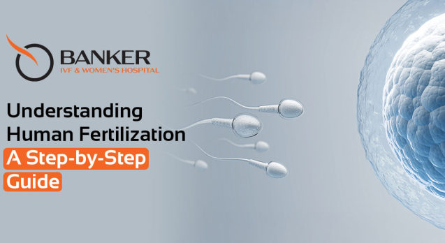 Human Fertilization