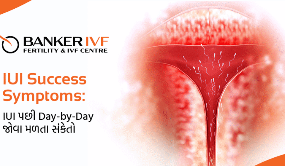 IUI Success Symptoms