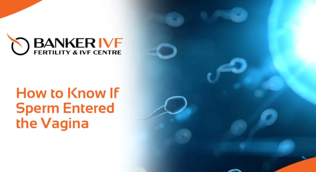 Sperm Entered Vagina Banker IVF